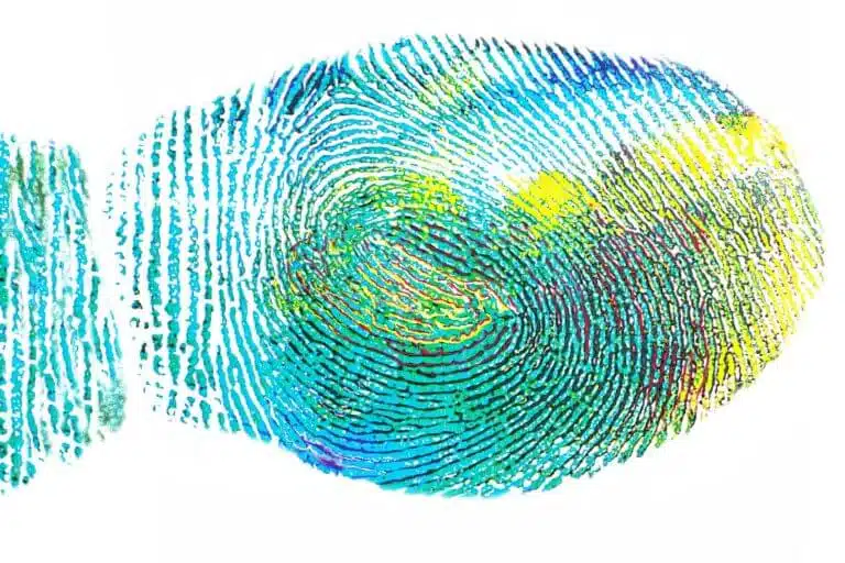 How Much is Your Personal Data Sold for on the Dark Web?