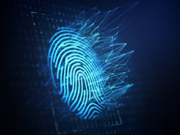 Why Your Business Needs Fraud Analytics