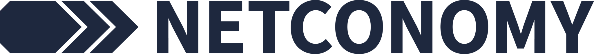 Netconomy logo