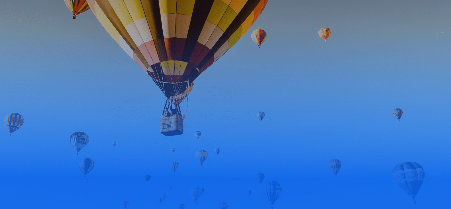 hot air balloons in the sky
